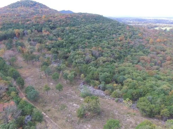 County Road 639 #8 & 9, Berryville, AR 72616