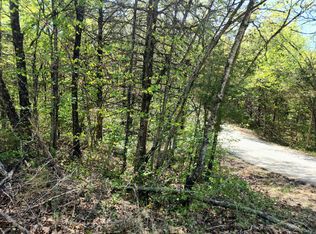 231 Jay Ln, Shell Knob, MO 65747