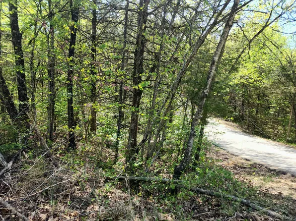 Tbd Jay Lane, Shell Knob, MO 65747