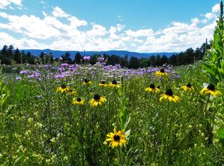 1715 W Perry Park Ave, Larkspur, CO 80118