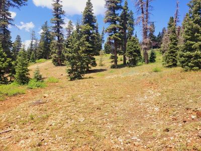 6140&6150 W Park Dr, Alton, UT, 84710