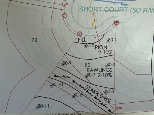 1409 Short Ct, McDonough, GA 30252