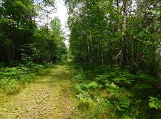 Walesh Ln, Athelstane, WI 54104