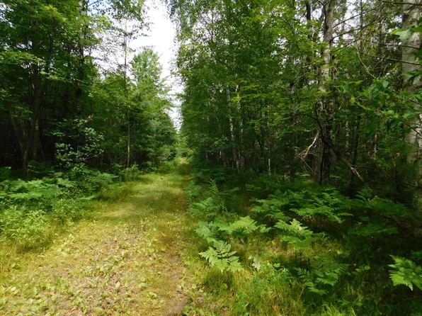 Walesh Ln, Athelstane, WI 54104