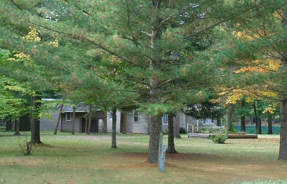 2nd image of 4165 W Forest Rd
