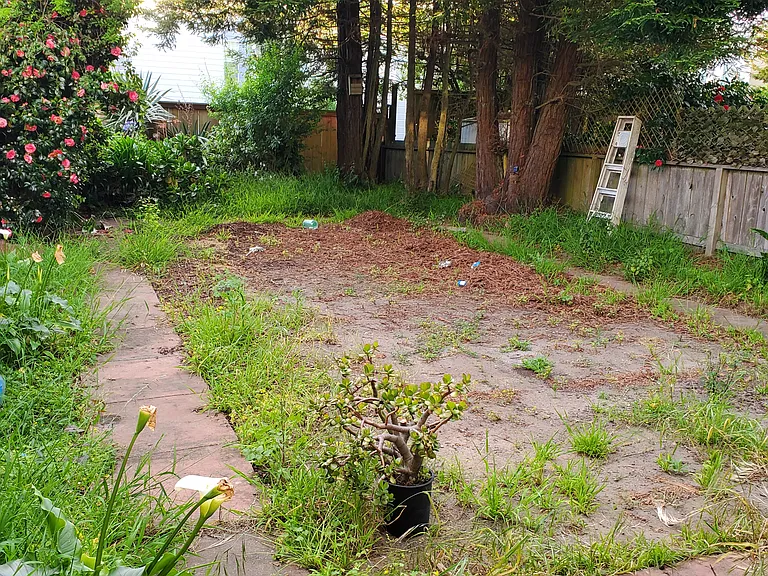 back yard