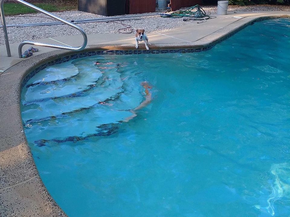 2nd image of 412 Suffolk Dr