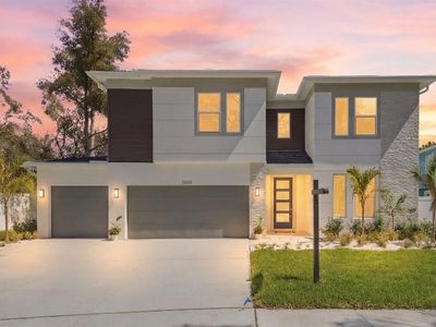 3608 E Tampa Cir, Tampa, FL, 33629