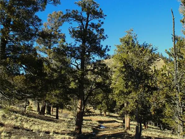 3632 Clear Creek Rd, Hartsel, CO 80449