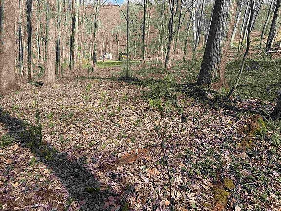 3rd image of Behlar Rd