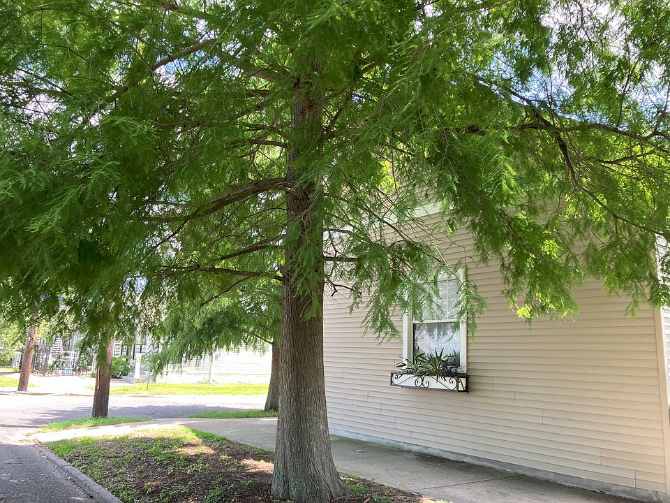 Freret area Cottage shaded by cypress trees at corner of Valence and South Saratoga
