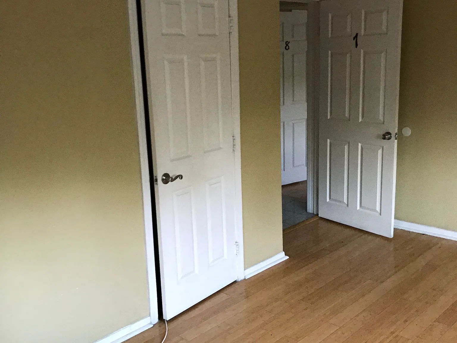 1 bed, $1,100 — Photo 3