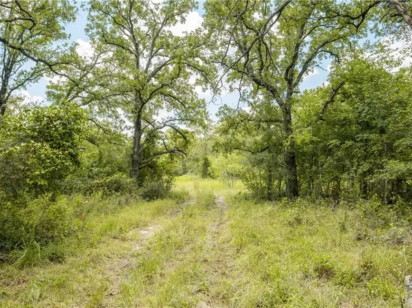 418B County Road 405, Buckholts, TX 76518