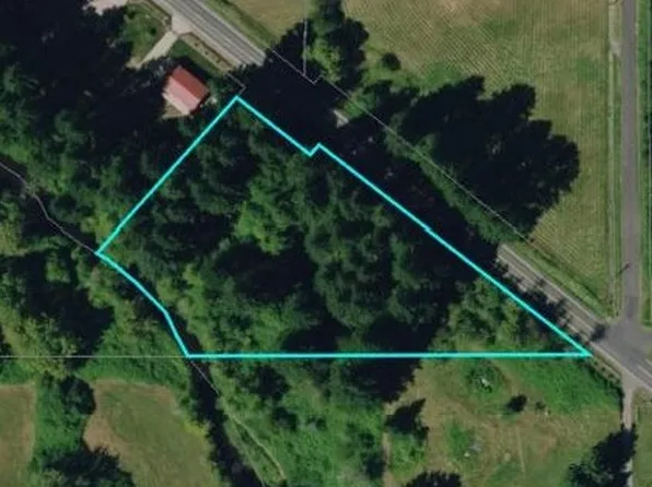 NE Cedar Creek Rd, Amboy, WA 98601