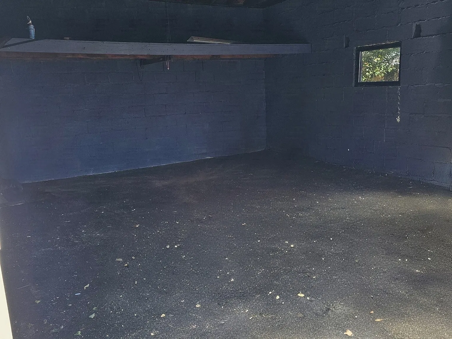 Studio, 300 sqft, $300 — Photo 4