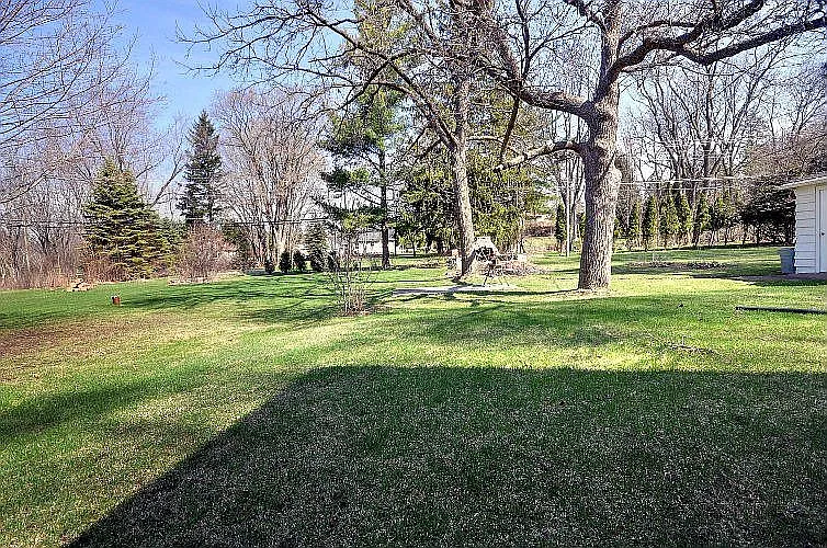 Back yard