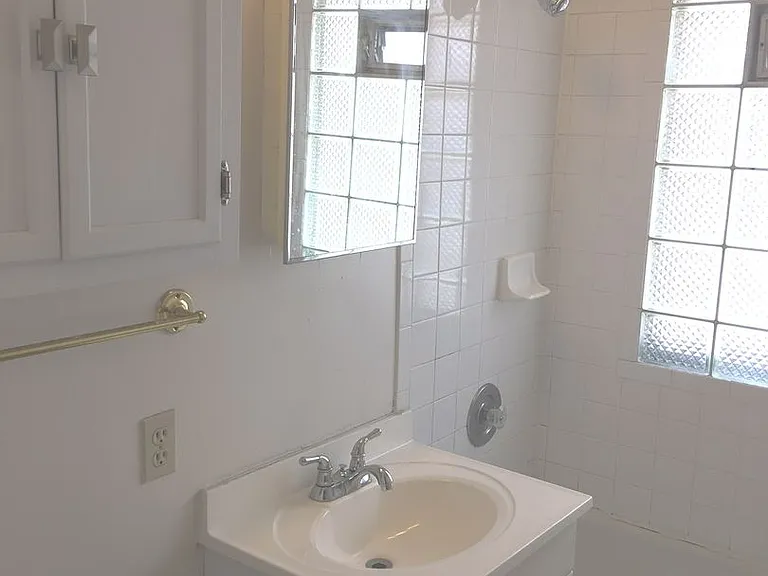 829 N. Cass — Photo 17