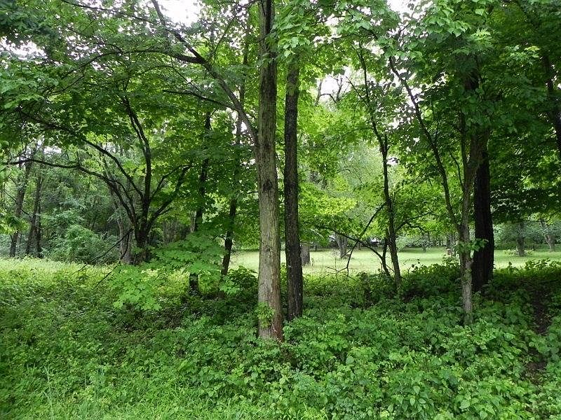 1st image of 75 Parkshire Ct NE