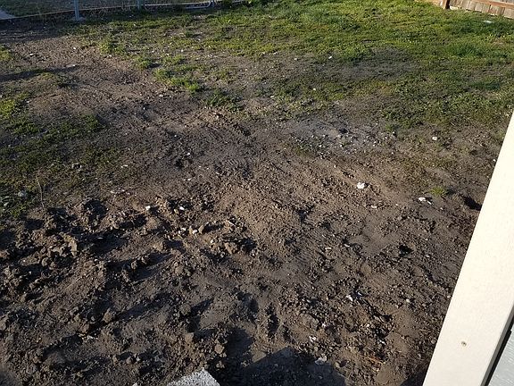 outside fenced yard