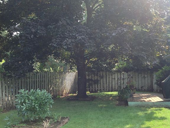 Back yard