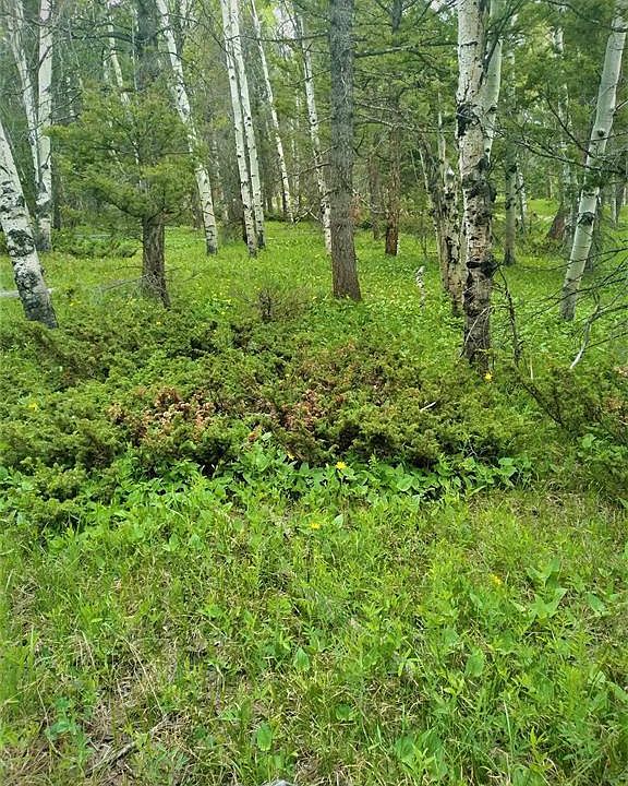 1st image of 525 Crest Drive