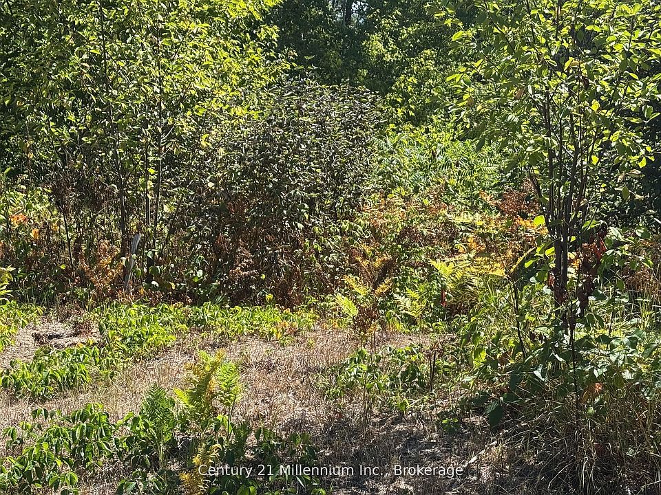 1st image of 931 River Rd E