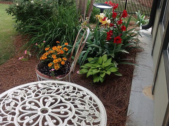 The garden behind back porch