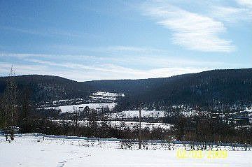 Outdoor view from deck