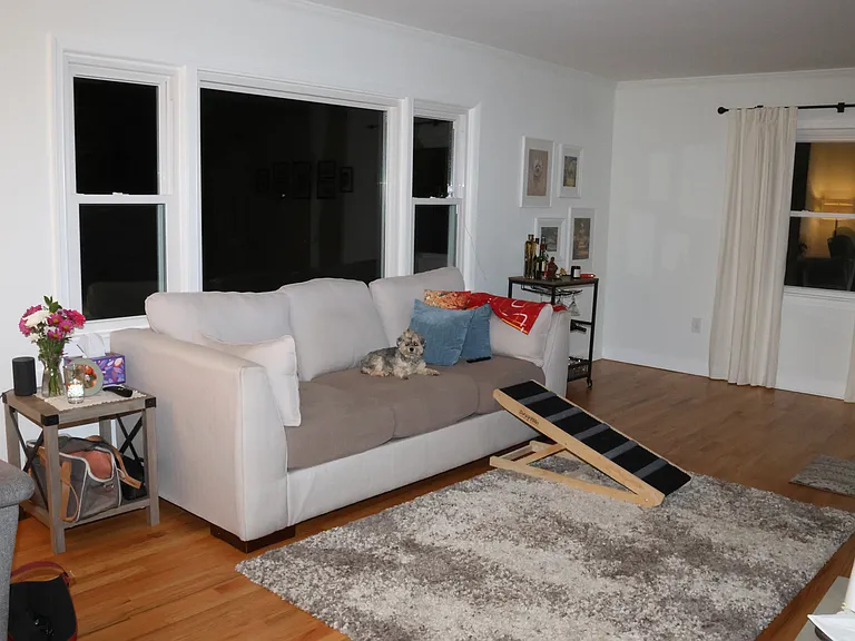 7401 Calamo St — Photo 12