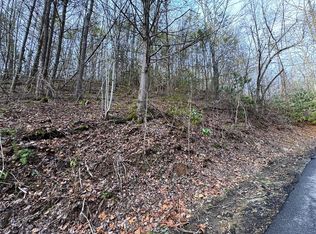 10 Black Gum Gap Rd LOT 10, Gatlinburg, TN 37738
