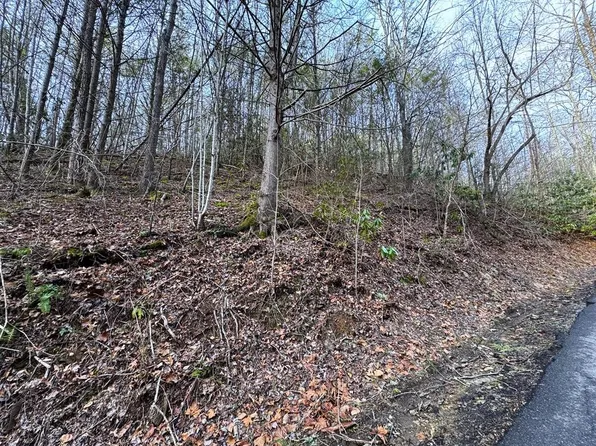 10 Black Gum Gap Rd Lot 10, Gatlinburg, TN 37738