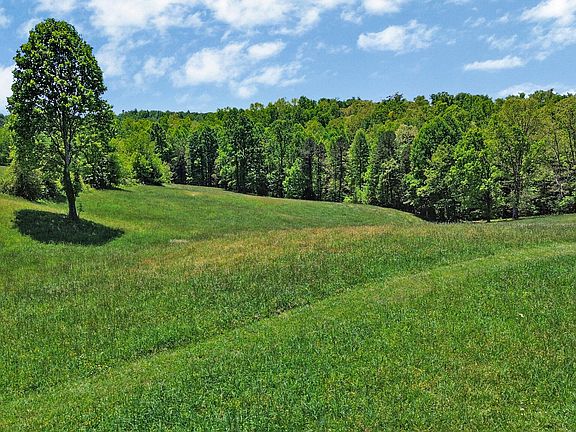 3rd image of Panther Branch Rd