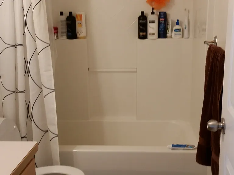 803 Blueberry Ln — Photo 14