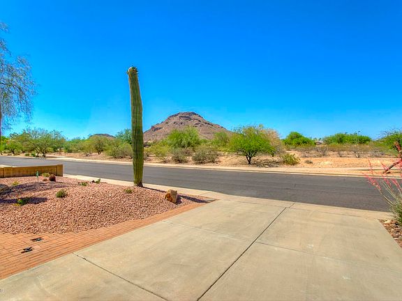 More Views Of The Park and Mountain