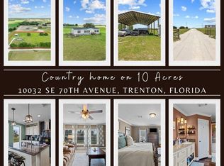 10032 SE 70th Ave, Newberry, FL 32693