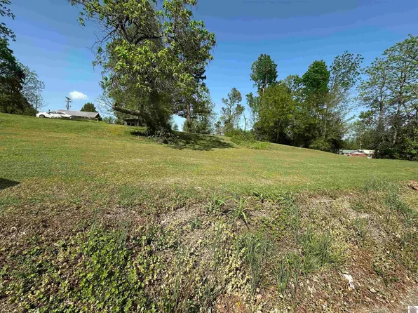 0 Doran Dr, Wingo, KY 42088