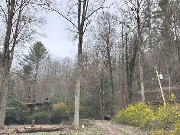 1290 Big Creek Rd, Cherry Log, GA 30522