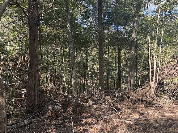 5th image of 2207 River Rd