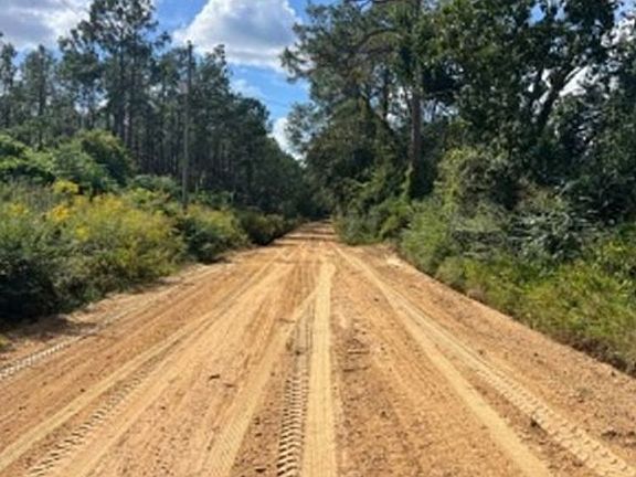 Exterior Neighborhood (street photo)