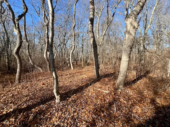 1 Old Field Rd, Aquinnah, MA 02535