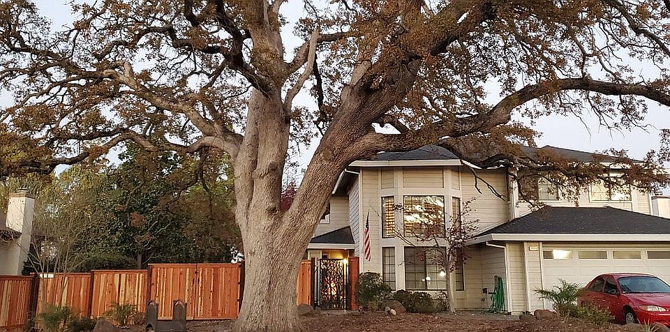 1st image of 1434 Spring Valley Dr