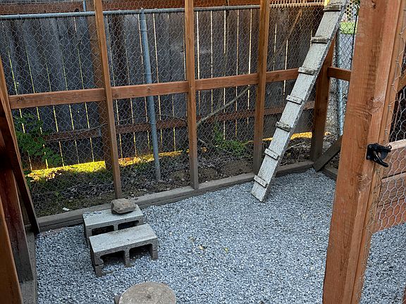 Chicken/duck run