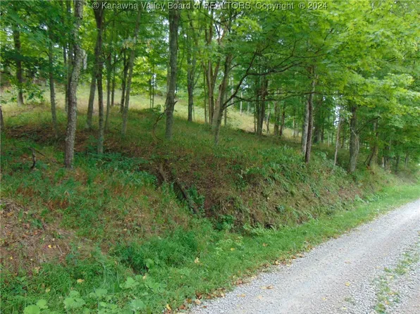 0 Logston Run Rd, Ravenswood, WV 26164