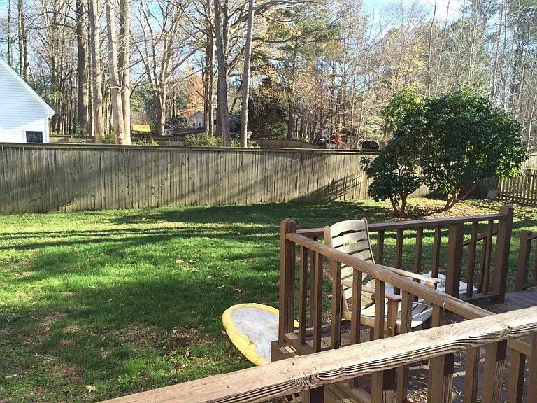Back yard