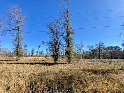 Ole Springs Rd, Summit, MS, 39666