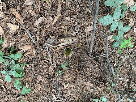 3rd image of 26581 N Highway 1
