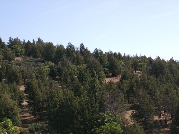 5th image of 18031 Gazelle Callahan Rd