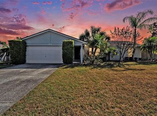 814 Satinleaf Ave, Oldsmar, FL 34677