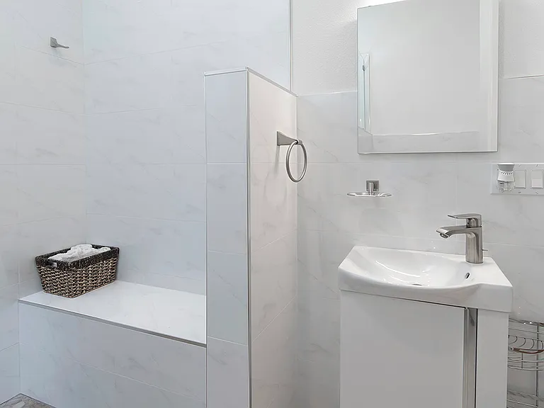 Step-in shower and ensuite vanity.
