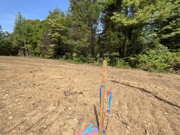 5 Lyle Hollow Rd Lot 5, Palmyra, TN 37142